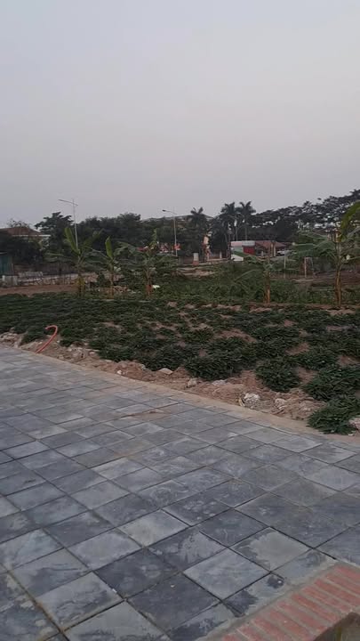 Đất nền An Tảo Hưng Yên 82.95m² giá 5 tỷ - Mặt tiền 8m, cơ hội đầu tư tốt!