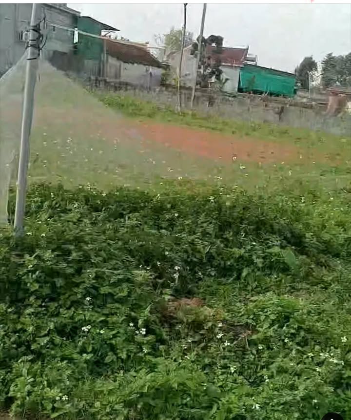 Đất thổ cư 198m² xã Hiến Sơn, Đô Lương giá 1 tỷ - Kinh doanh tiềm năng!