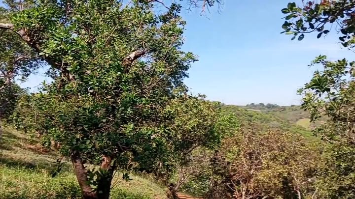 Đất nền xã An Phú, Huyện Hớn Quản 100m² - Sổ hồng chính chủ, giá thỏa thuận