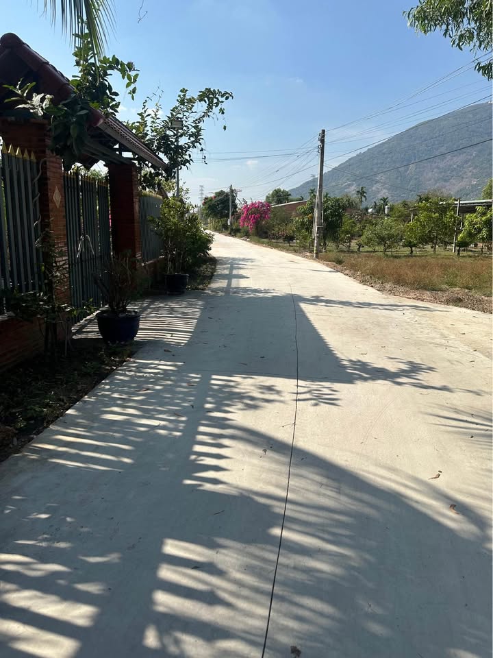 Đất thổ cư 100m² xã Phan, Dương Minh Châu, Tây Ninh - Giá chỉ 575 triệu!