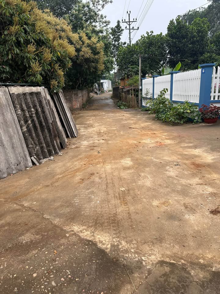 Đất thổ cư 288m² tại Tổ 11 An Tường - Giá chỉ 1.x tỷ, ô tô đỗ cửa!