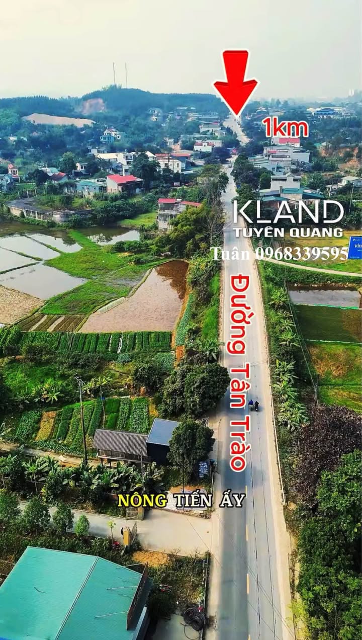 Đất thổ cư mặt đường Tân Trào, phường Nông Tiến, 137m² giá 1.7 tỷ - Vị trí đẹp, kinh doanh thuận lợi!