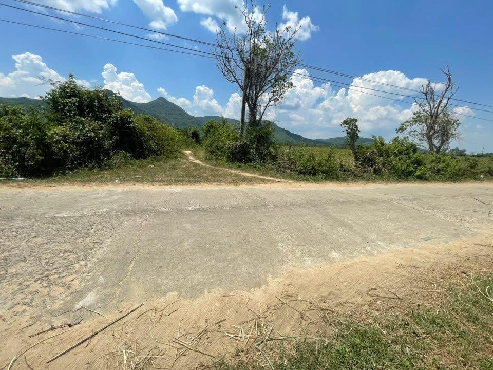 Đất vườn Tây Phú Tây Sơn 1000m² giá 129 triệu - Cơ hội đầu tư tuyệt vời!