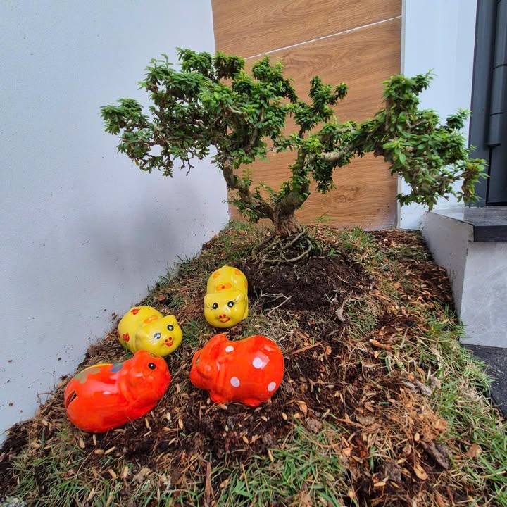 Đất thổ cư 100m² tại KP 5, Phường 10, TP Mỹ Tho chỉ 1.08 tỷ - Cơ hội đầu tư tuyệt vời!