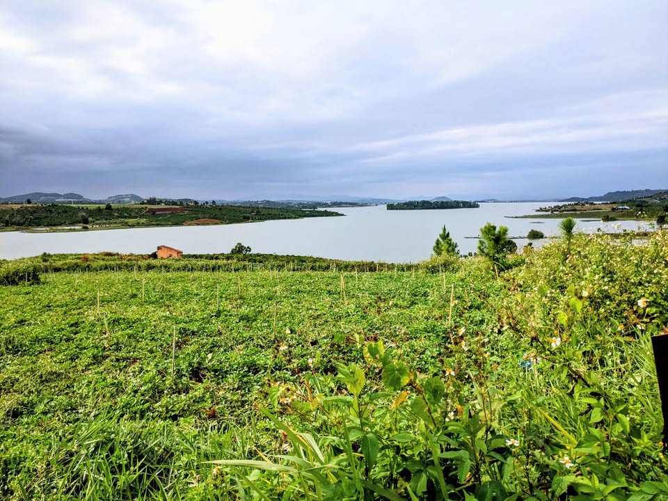 Đất nền dự án Tà Hine, Lâm Đồng 1.000m² giá 680 triệu - Sổ hồng riêng chính chủ!