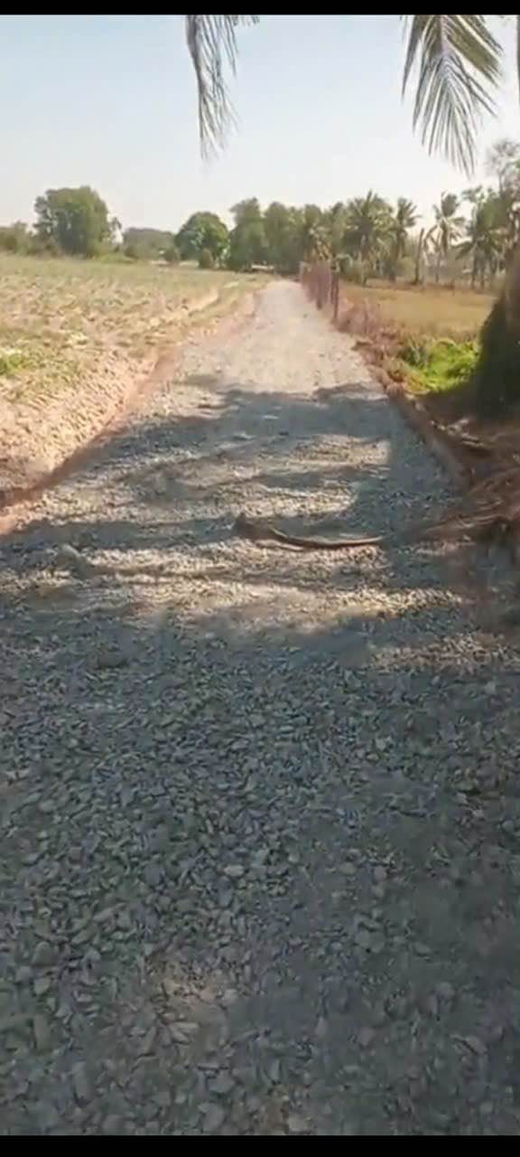 Đất thổ cư 1251m² tại Long Giang, Bến Cầu - Giá 2,2 tỷ, đầu tư sinh lời!