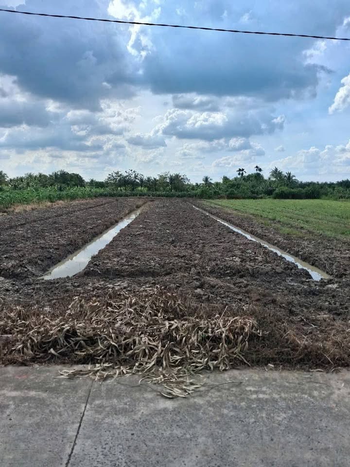 Đất mặt nhựa 2000m² tại Xã Long Bình Điền - Giá chỉ 2.4 tỷ