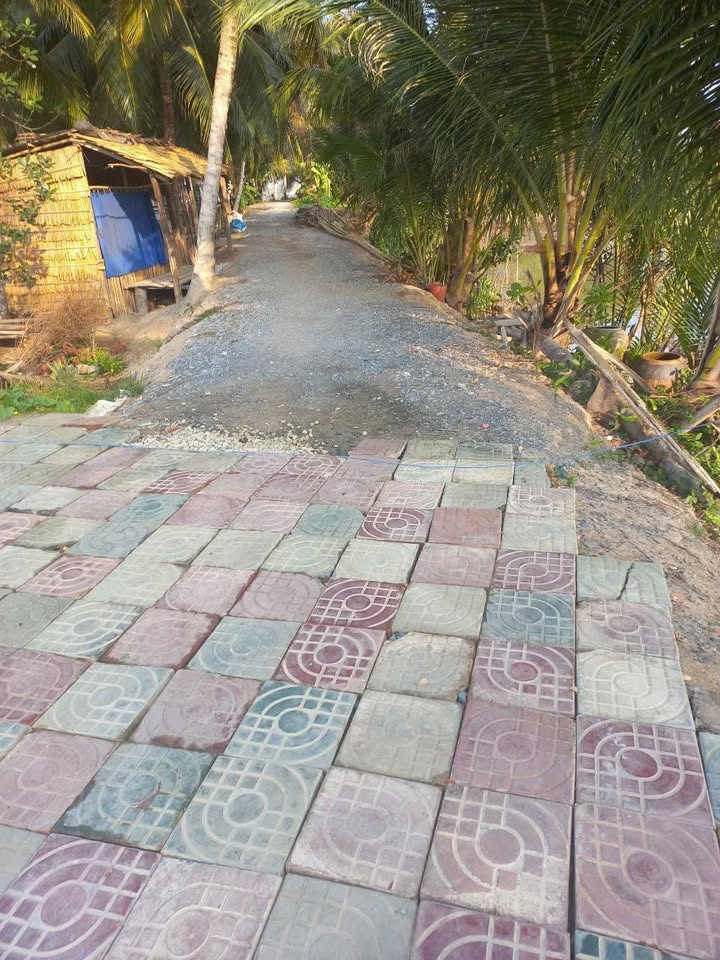 Đất nền ấp Long Hòa, xã Đại Phước, huyện Càng Long 160m² chỉ 250 triệu - Cơ hội đầu tư tuyệt vời!