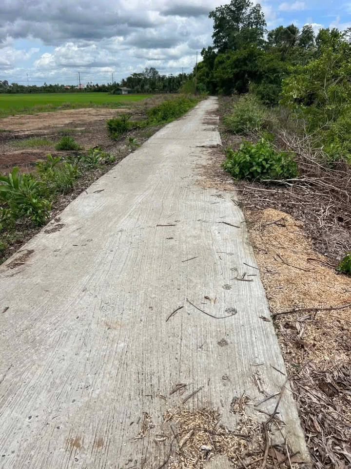 Đất nền thổ cư 121,8m² tại Tân Long Hội, Vĩnh Long - Giá chỉ 220 triệu