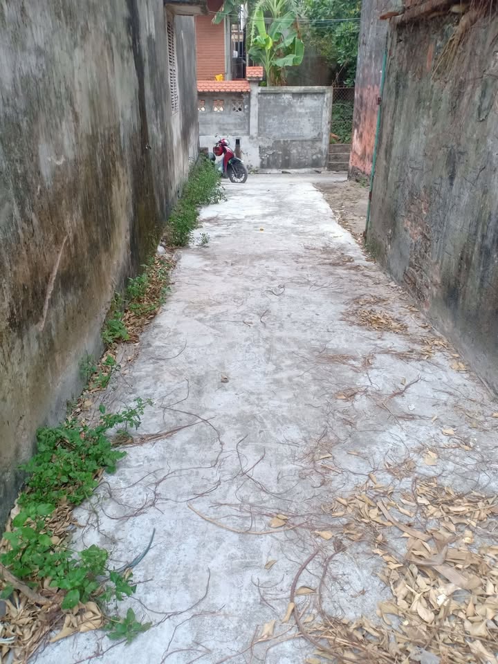 Đất nền Phúc Tiến, Huyện Phú Xuyên 82.7m² - Giá bán hợp lý cho gia đình trẻ!