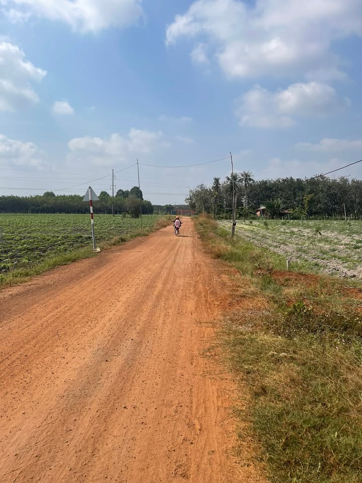 Đất farm 4.800m² tại Xã Phan, Tây Ninh - Sổ hồng chính chủ, giá 2.2 tỷ!