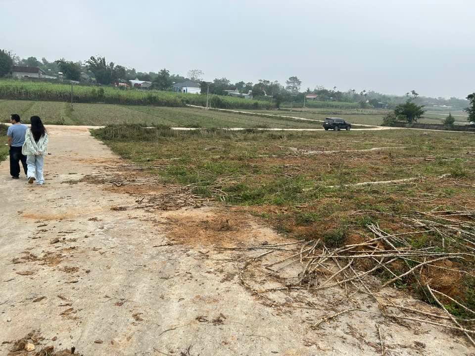 Đất thổ cư Nghĩa Hưng, Nghệ An 172m² giá 150 triệu - Cơ hội đầu tư hấp dẫn!