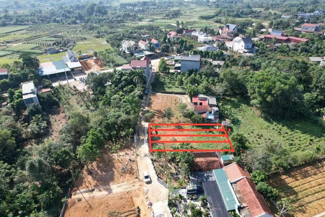 Đất nền Hợp Lý, Triệu Sơn 150m² - Vị trí siêu tiềm năng chỉ 5xx triệu!