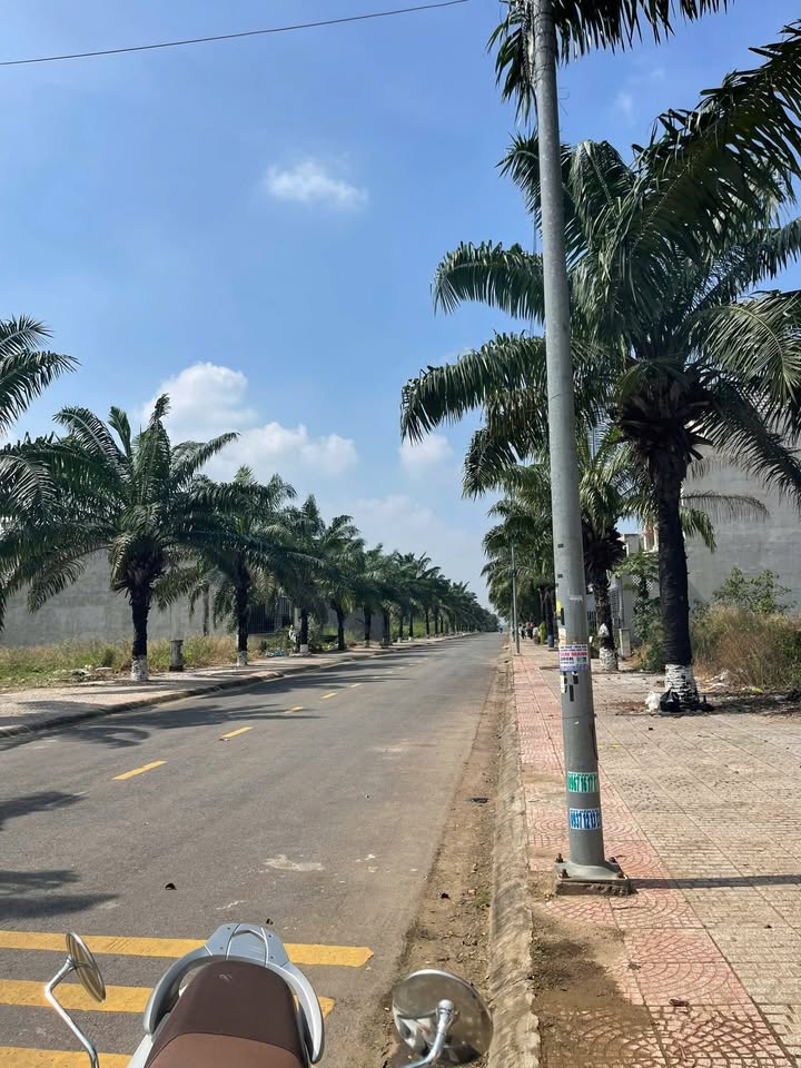 Đất nền Khu Gollhill, Xã Trảng Bom 105m² giá 2 tỷ - Sổ riêng công chứng ngay!