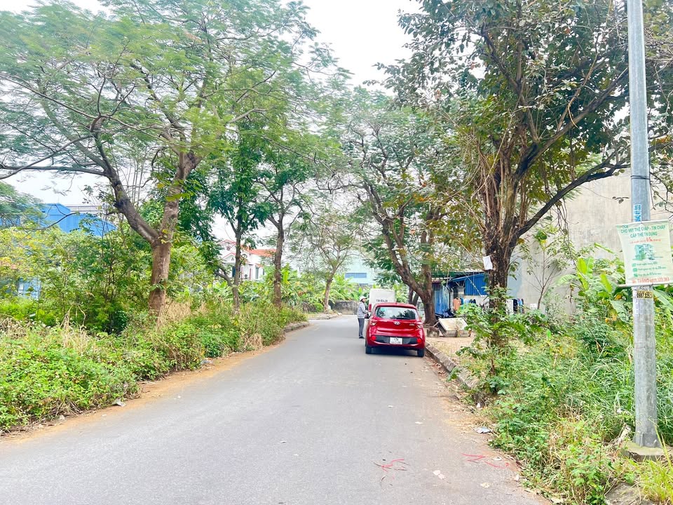 Đất nền Hồng Bàng Hải Phòng 60m² giá 2,8 tỷ - Lô duy nhất trong khu phân lô