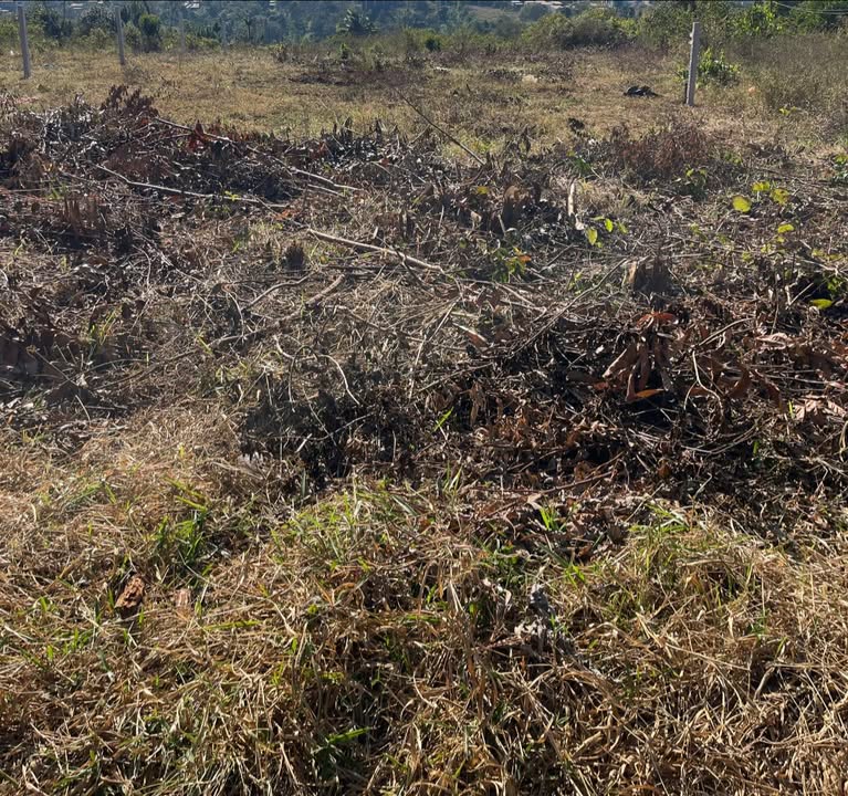 Đất thổ cư 1800m² tại trung tâm Quảng Khê chỉ 1.4 tỷ - Cơ hội vàng cho đầu tư!