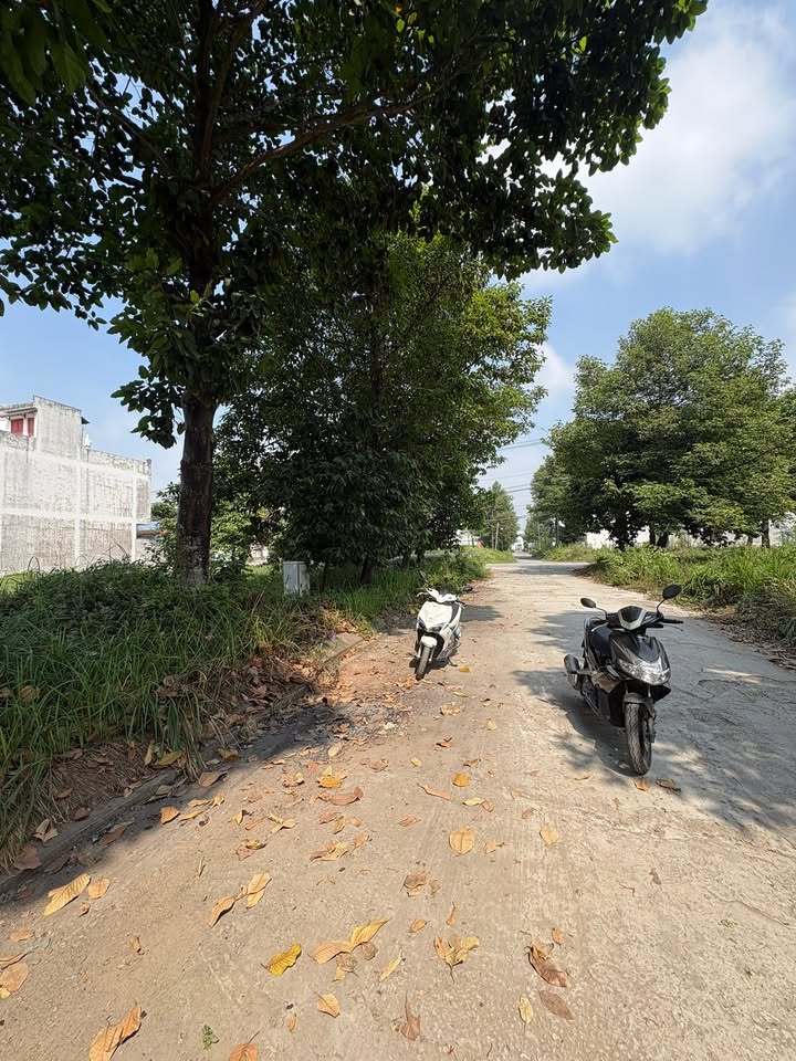 Đất nền đường số 6, huyện Đức Hòa, 120m² chỉ 3.05 tỷ - Sang tên nhanh gọn!