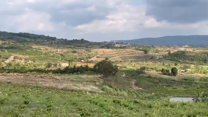 Đất Farm 1ha tại Đan Phượng, Lâm Hà chỉ 3.55 tỷ - Thế đất thoáng mát, chính chủ bán gấp!