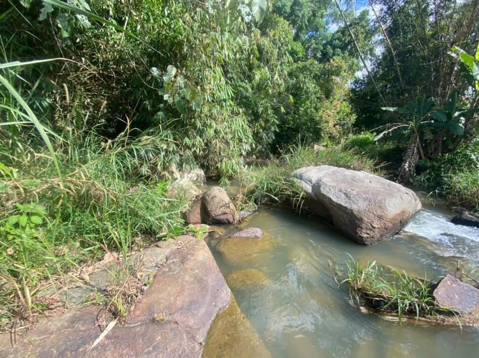 Đất thổ cư 7.500m² tại Lộc Nam, Bảo Lâm chỉ 5.7 tỷ - Cơ hội đầu tư tuyệt vời!