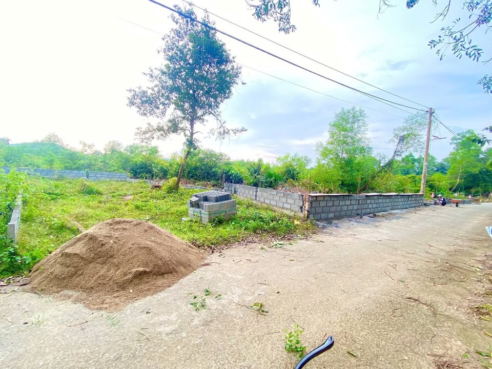 Đất thổ cư 112m² khu phố Cây Thông Trong Phú Quốc - Giá chỉ 1 tỷ!