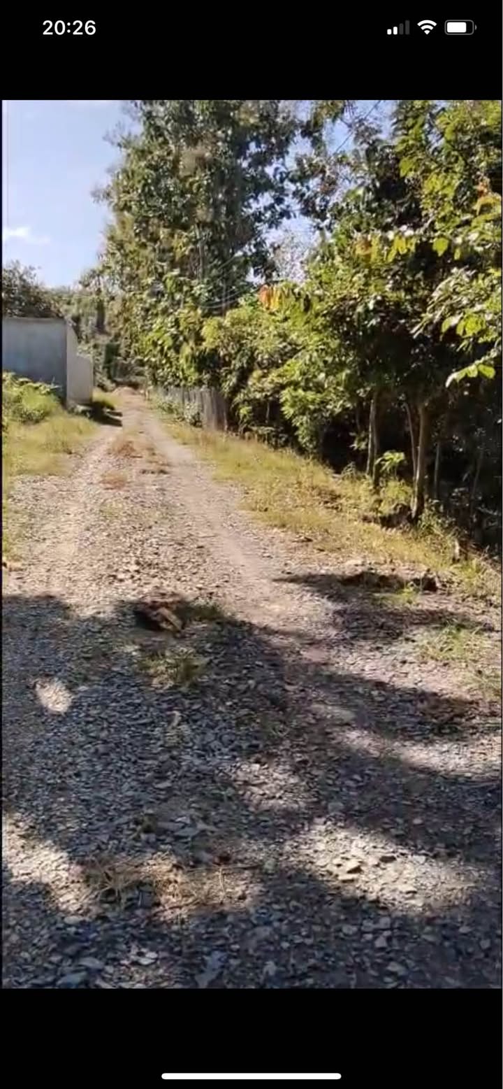 Lô đất nông nghiệp Ngọc Định 720m² giá 1.4 tỷ - View suối nước quanh năm!