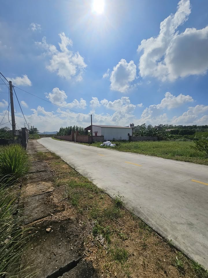 Đất nền KDC Tân Tiến TP Chí Linh 517m² giá 17.061 tỷ - Đầu tư tiềm năng ngay hôm nay!