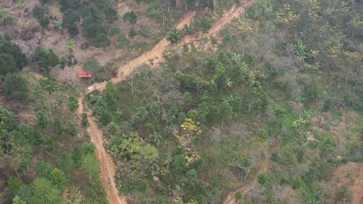 Đất nghỉ dưỡng 20ha mặt hồ Nặm Cắt - Giá 10 tỷ, thương lượng