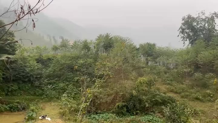 Đất nền Lương Sơn, Yên Lập 3900m² - Giá đầu tư hấp dẫn!