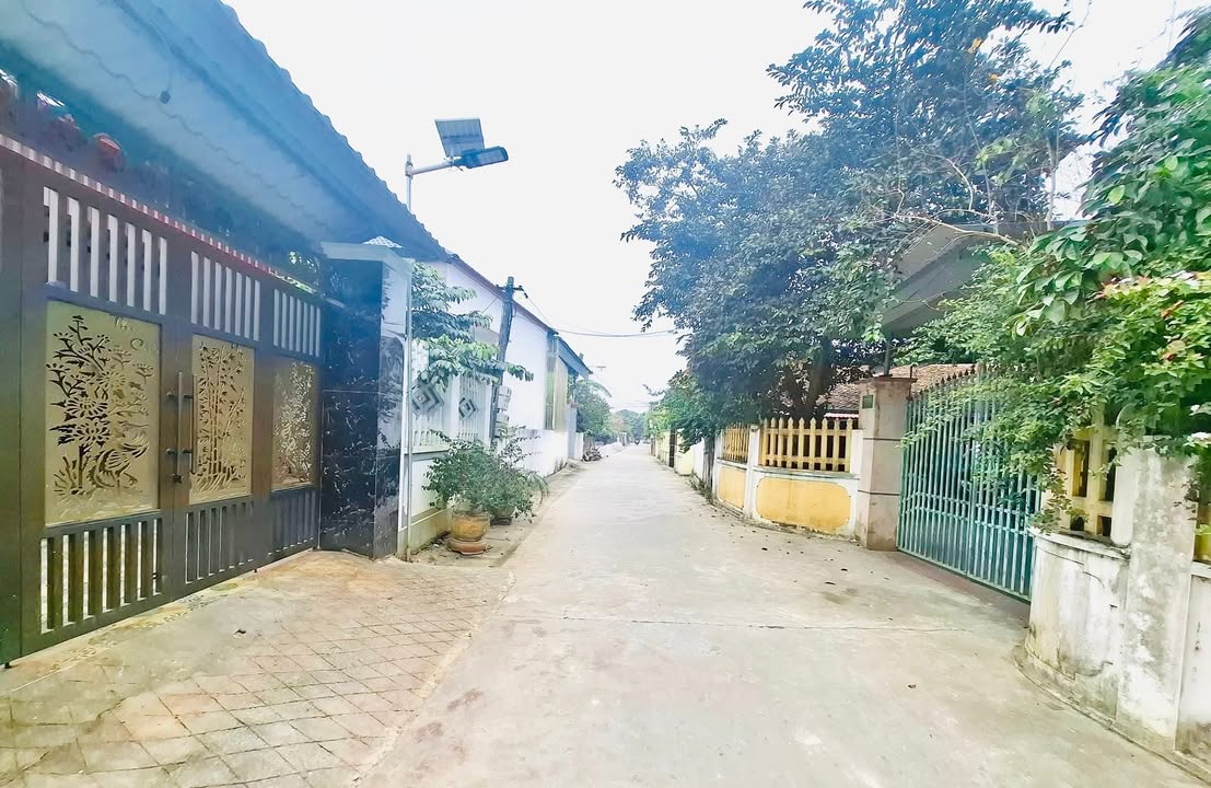 Đất nền dự án Trường Xuân Thọ Xuân 75m² giá chỉ 300 triệu - Đầu tư sinh lời ngay!