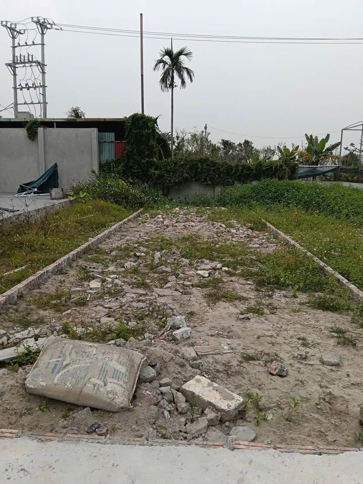 Đất nền Đồng Thái, An Dương 80m² giá chỉ 1 tỷ - Cơ hội vàng cho nhà đầu tư!