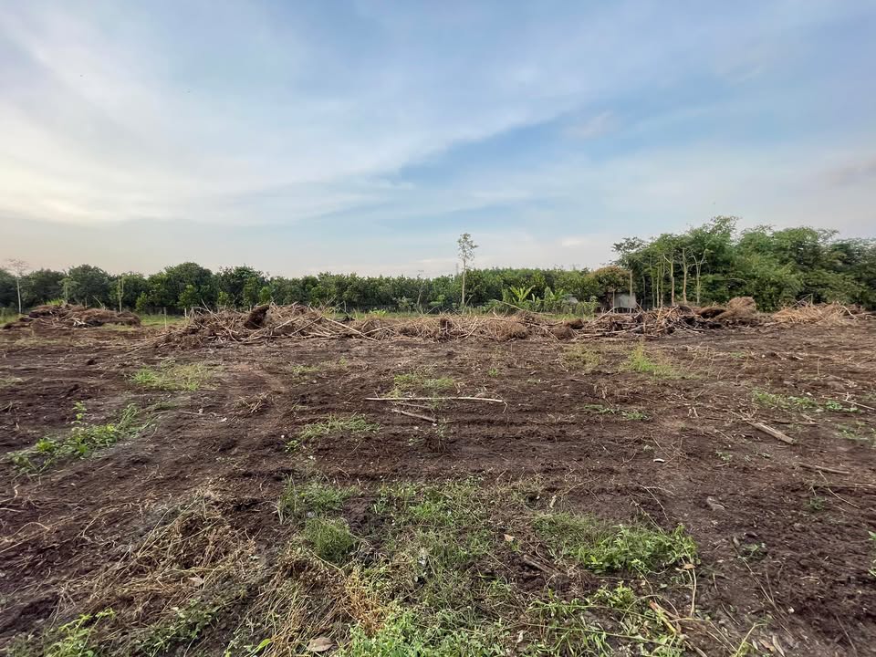 Đất Sào Xuân Thọ 360m² giá 340 triệu - Mặt tiền rộng, xe hơi vào thoải mái!