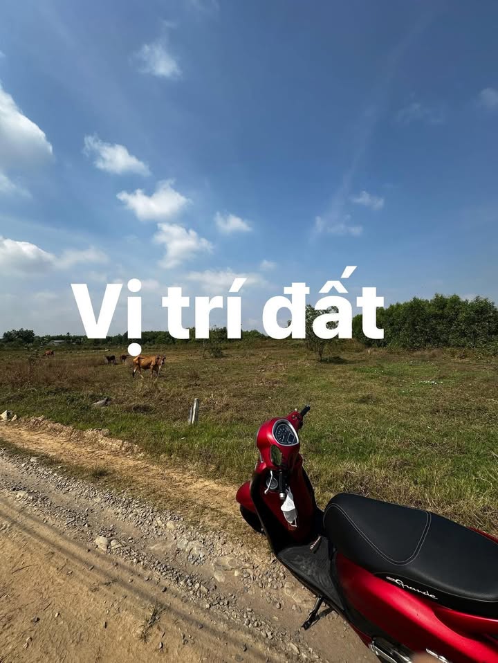 Đất nền Suối Cao, Xuân Lộc 150m² giá 550 triệu - Cơ hội đầu tư tốt!