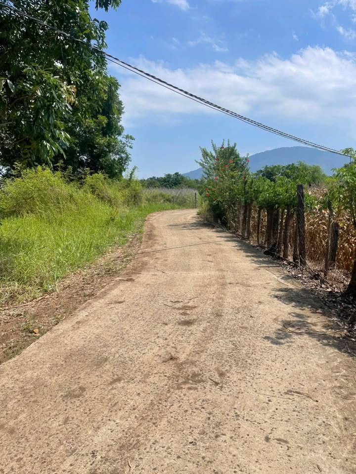 Đất nền Suối Cát, Xuân Lộc 1116m² giá 1.2 tỷ - Đầu tư sinh lời ngay!