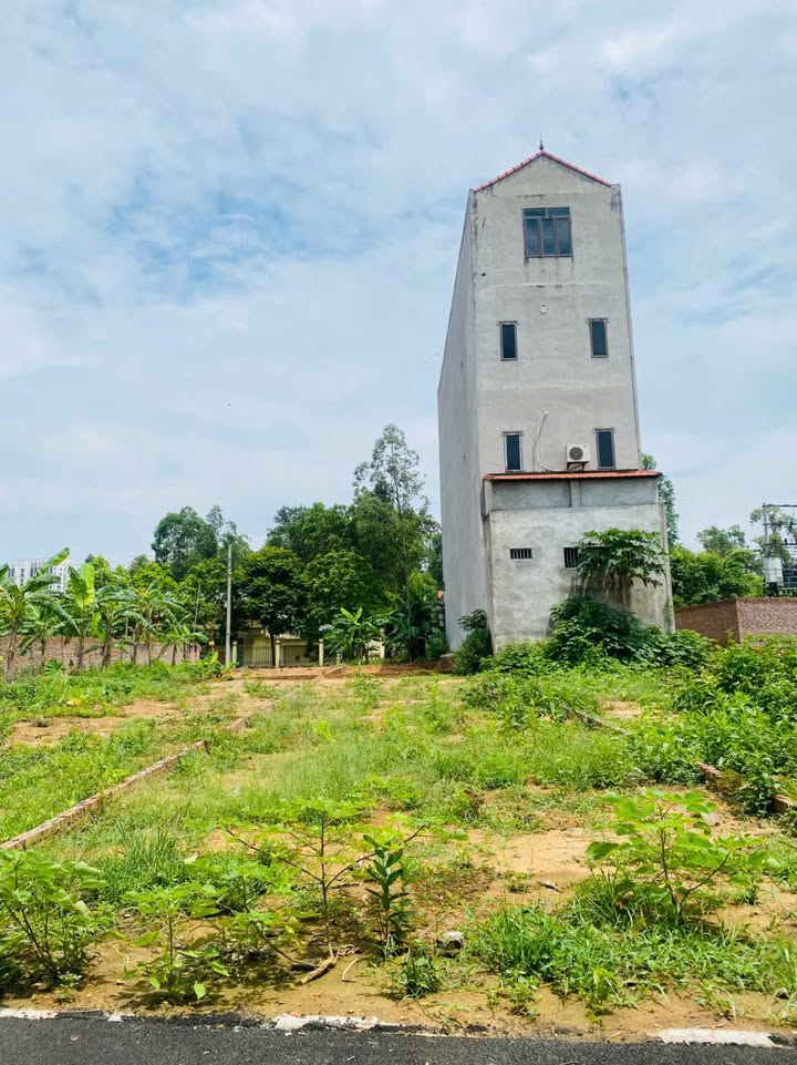 Đất nền Liên Bảo, Vĩnh Yên 227m², giá chỉ 1 tỷ - Cơ hội vàng cho đầu tư!