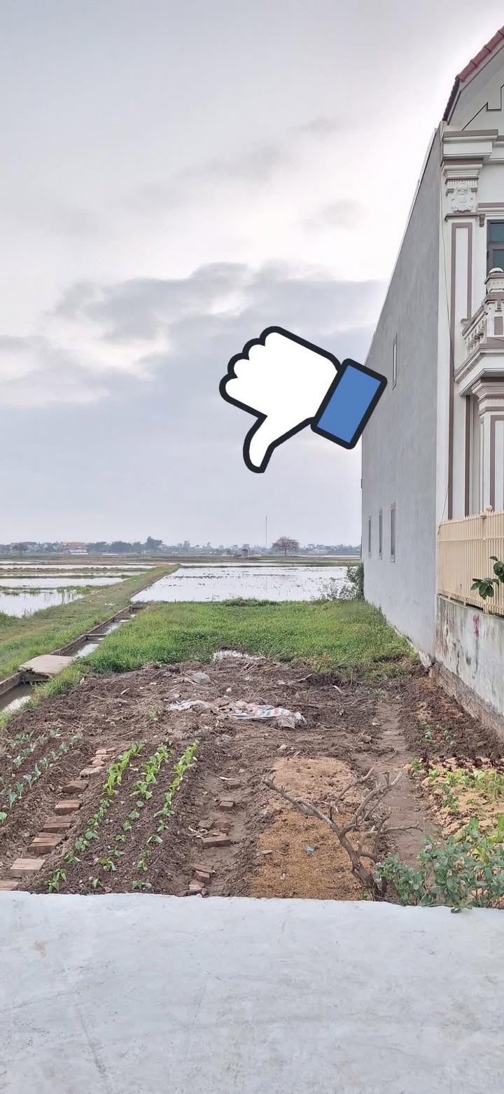 Đất nền thôn Bùi, xã Hòa Tiến, Hưng Hà, Thái Bình 126m² - Lô góc 2 mặt tiền kinh doanh tuyệt vời!