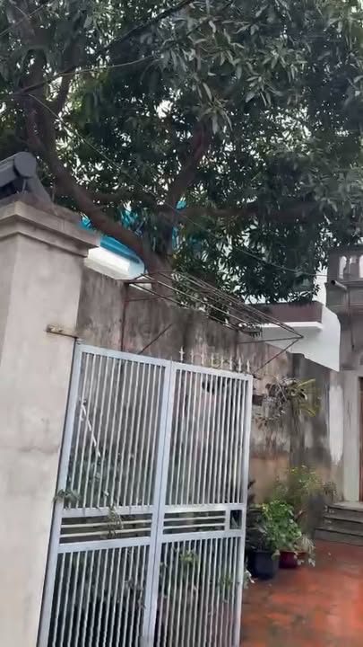 Bán đất thổ cư Thôn Tiên Hùng, Xã Nguyên Khê 173m² giá 6.x tỷ - Đầu tư sinh lời!