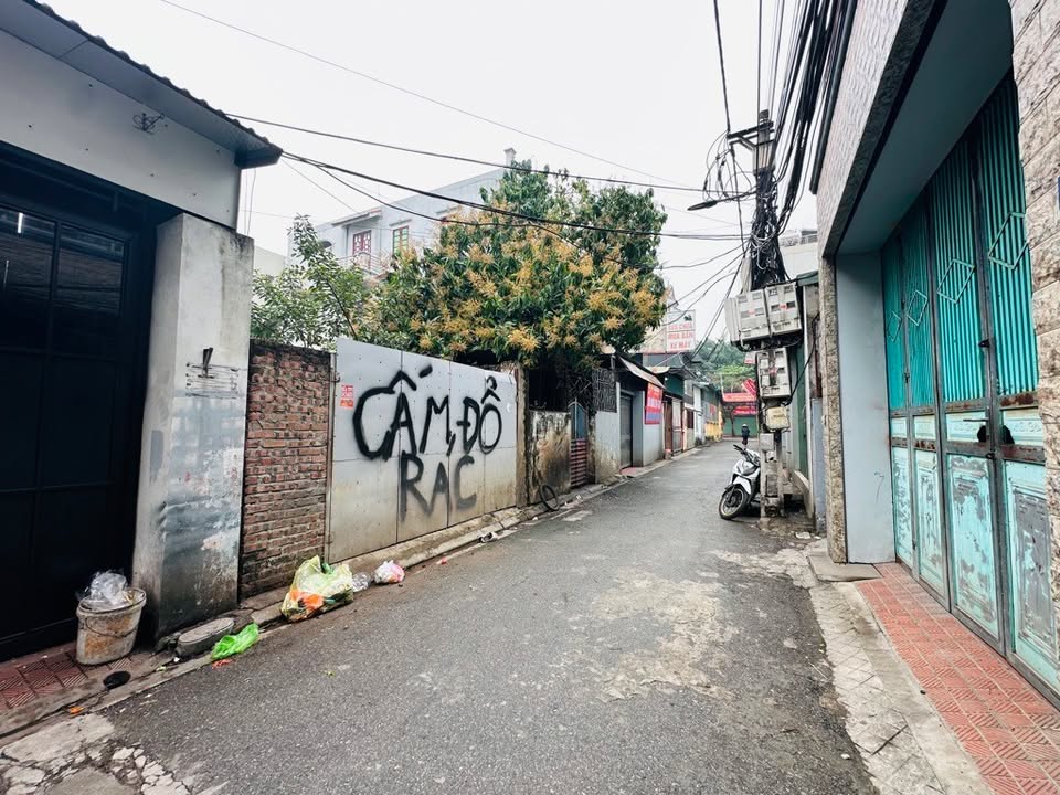 Đất nền đẹp tại Việt Hưng, Long Biên 74m² chỉ 11 tỷ - Cơ hội đầu tư hấp dẫn!