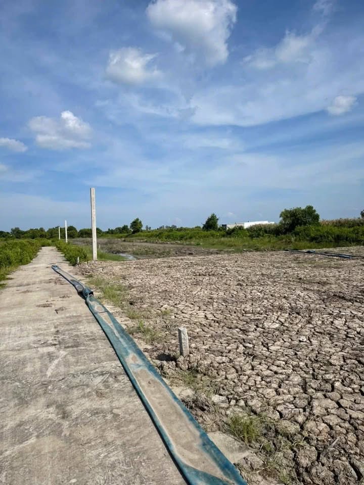 Đất nền 300m² tại Thị trấn Sông Đốc, Cà Mau - Giá chỉ từ 270 triệu!