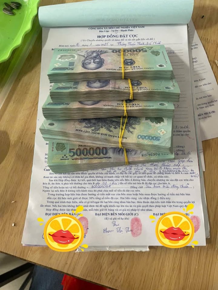 Đất nền Ngọc Nội, Trạm Lộ 87m² giá 2.6 tỷ - Đầu tư sinh lời tuyệt vời!