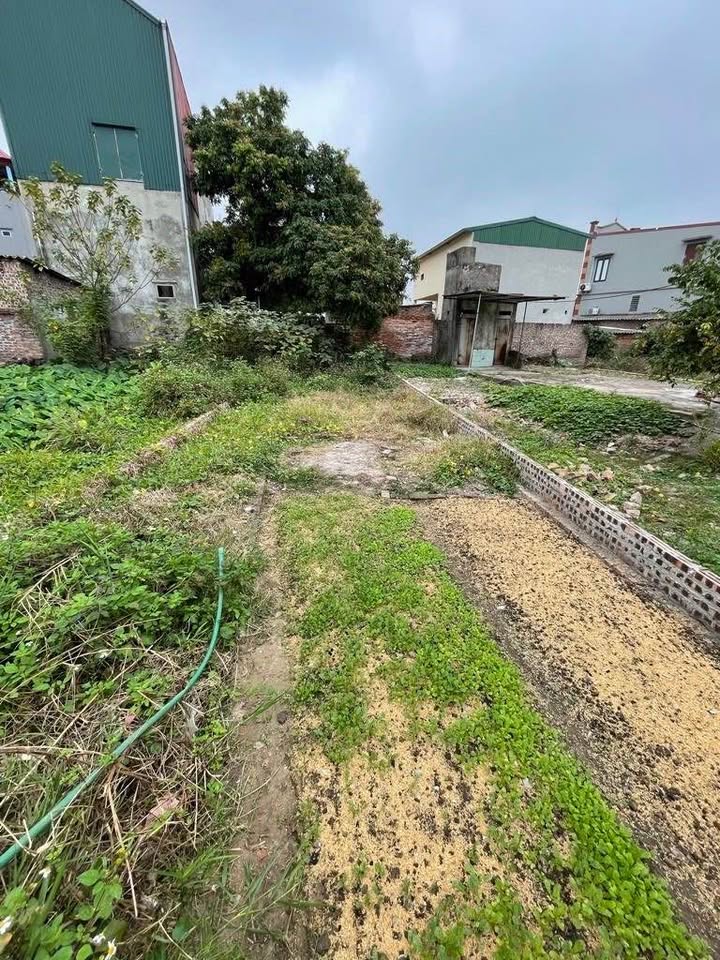 Đất nền Nguyệt Đức - Bắc Ninh 120m² giá thỏa thuận - View hồ thoáng mát!