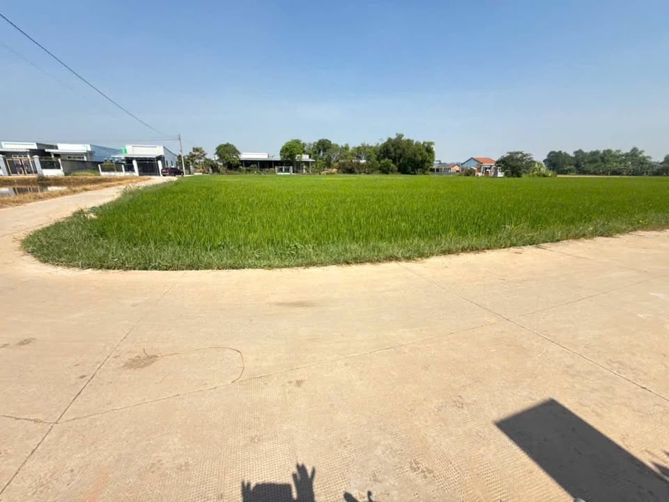 Đất nông nghiệp 554m² tại Ấp 4, Bình Chánh - Cơ hội đầu tư tuyệt vời!