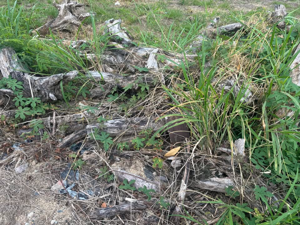 Đất nền Phước Đồng Nha Trang 100m² giá thỏa thuận - Cơ hội đầu tư tuyệt vời!