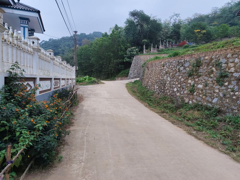 Đất cây lâu năm Khu Đồng An, Thanh Oai 6400m² giá 7.68 tỷ - Đầu tư lý tưởng!