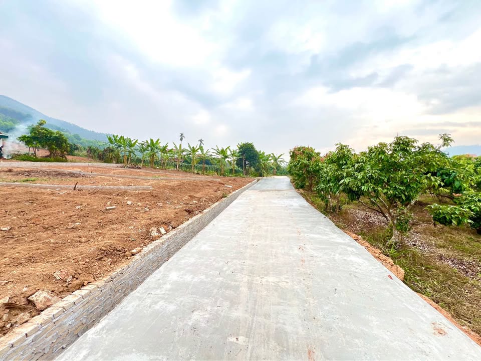 Đất nền Xã Bình Sơn - Huyện Lục Nam 252m² giá 400 triệu - Cơ hội đầu tư hấp dẫn!