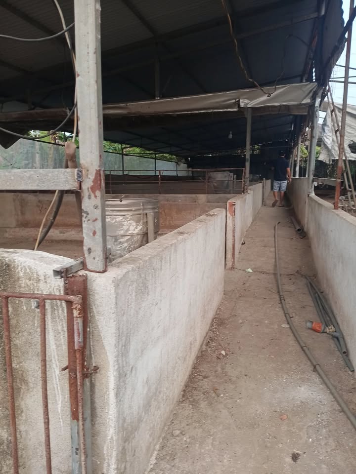 Đất nền 3.800m² km8 Vĩnh Tân giá chỉ 2 tỷ - Đầu tư sinh lời hiệu quả!