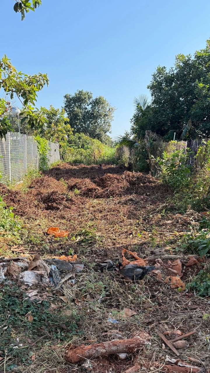 Đất thổ cư 150m² tại thôn Vinh Hà, Gia Lai - Giá chỉ 420 triệu!