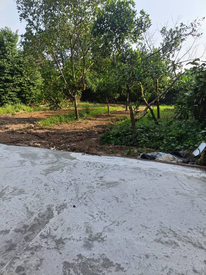 Đất nền 500m² tại xã Thủy Xuân Tiên - Sổ hồng chính chủ, giá chỉ 10 triệu/m²!