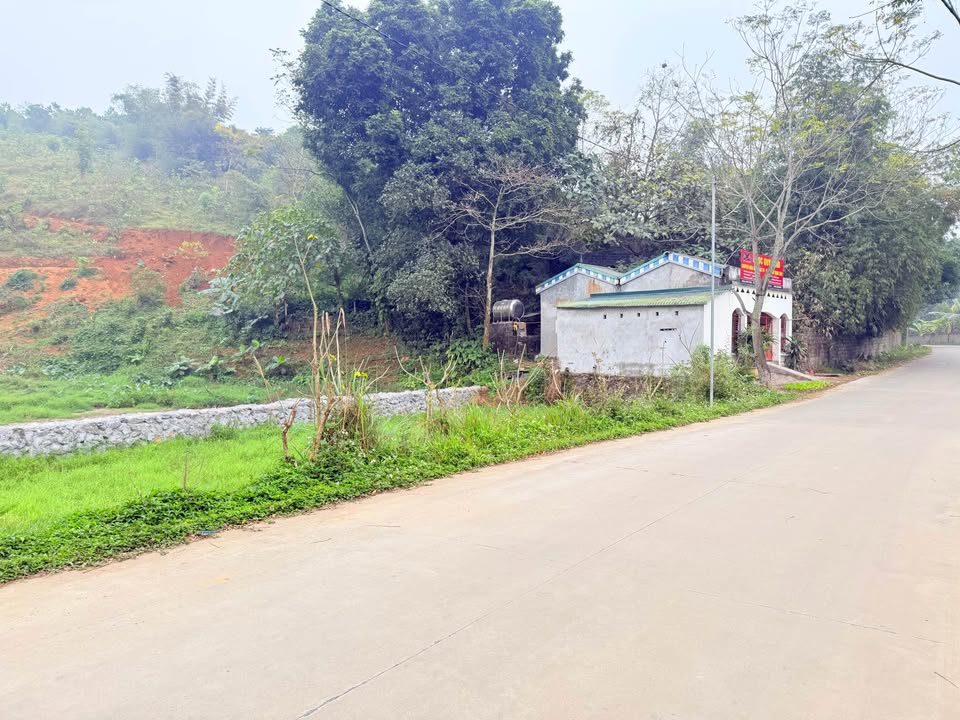Farm đất hiếm tại Cao Dương, Lương Sơn 16.000m² giá 2 tỷ - Đầu tư sinh lời bền vững!