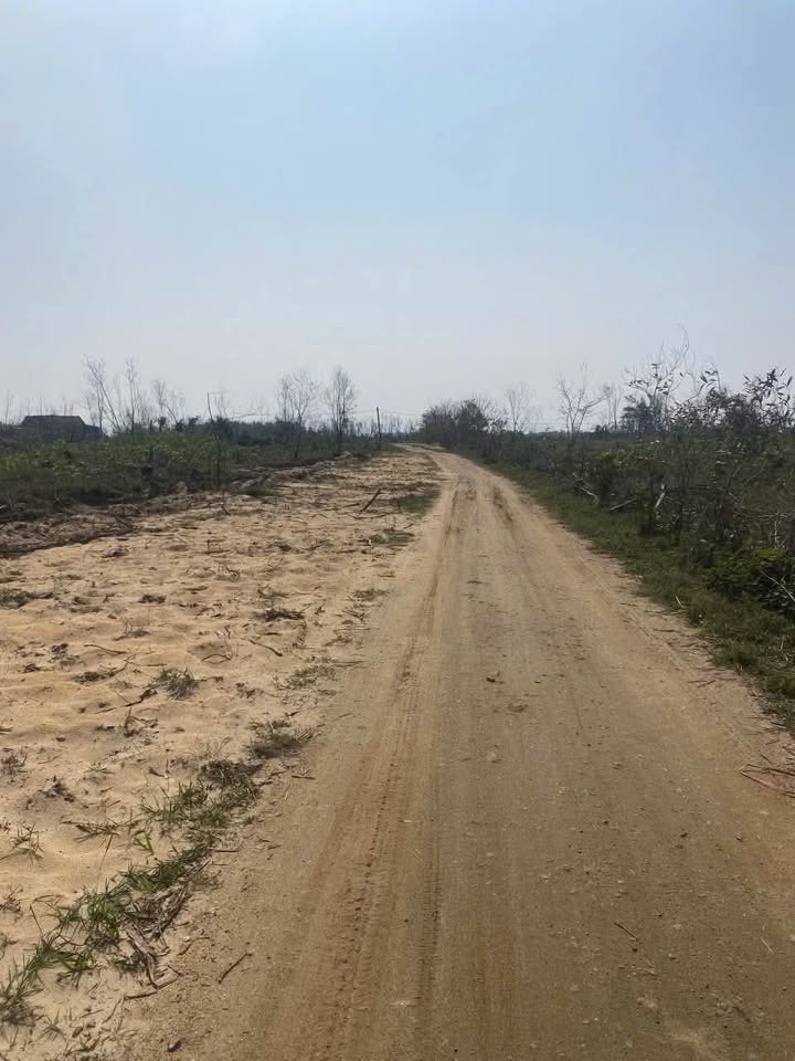 Đất biển Song Yên - Huyện Cẩm Xuyên, 2000m² - Giá tốt không thể bỏ lỡ!