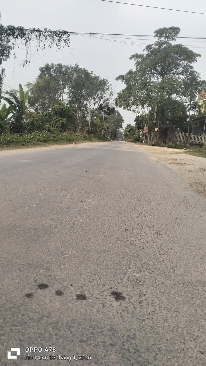 Đất thổ cư Hậu Lộc 178m² giá thỏa thuận - Sổ đỏ chính chủ